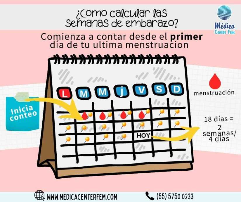 Calculadora-de-embarazo