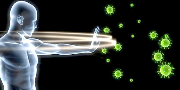 Reproducción Humana fortalece tu sistema Inmunológico