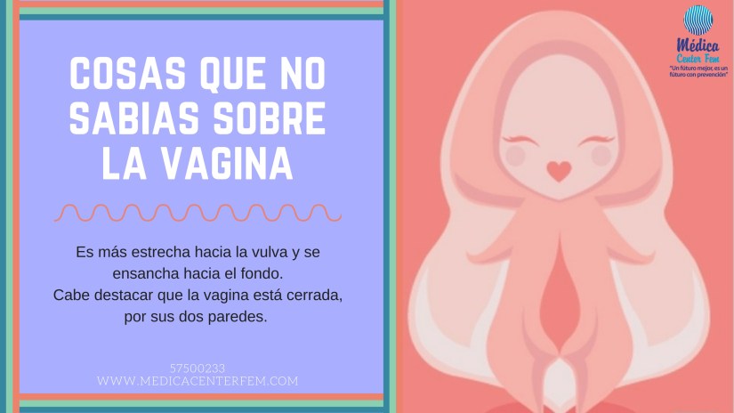 cosas que no sabias sobre la vagina