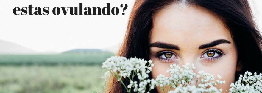 ¿Qué le pasa a tu cuerpo cuando estas ovulando?