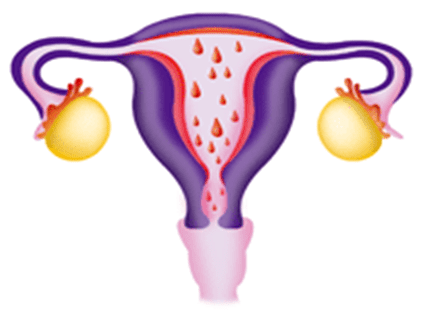 3, 2, 1... Que comience el ciclo menstrual
