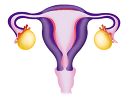 3, 2, 1... Que comience el ciclo menstrual