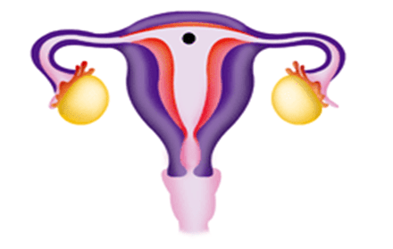 3, 2, 1... Que comience el ciclo menstrual