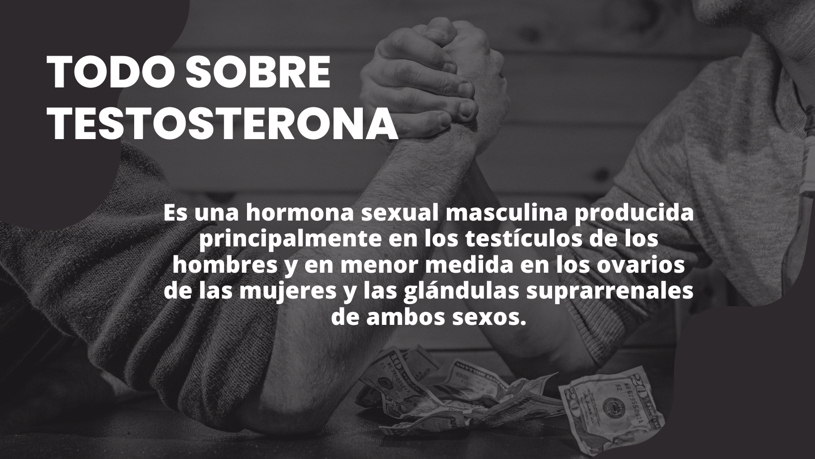 todo-sobre-testosterona