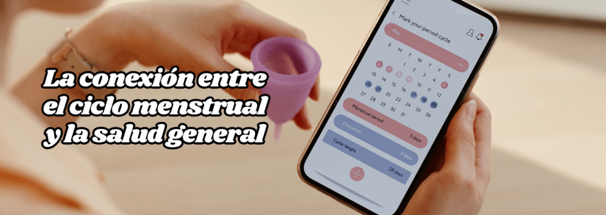 ciclo-menstrual